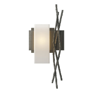 Hubbardton Forge - 207670-SKT-LFT-20-GG0351 - Brindille Sconce - Brindille - Natural Iron