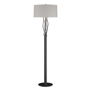 Hubbardton Forge - 237660-SKT-10-SE1899 - Brindille Floor Lamp - Brindille - Black