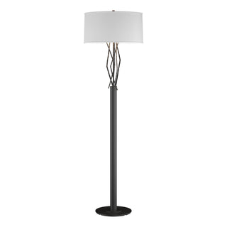 Hubbardton Forge - 237660-SKT-10-SF1899 - Brindille Floor Lamp - Brindille - Black