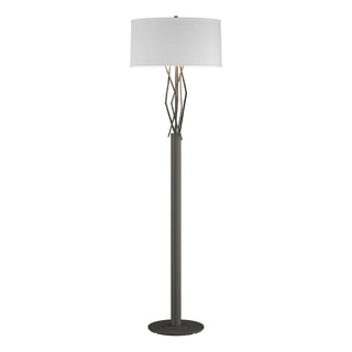 Hubbardton Forge - 237660-SKT-20-SF1899 - Brindille Floor Lamp - Brindille - Natural Iron