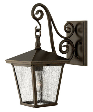 Trellis Medium Wall Mount Lantern in Regency Bronze