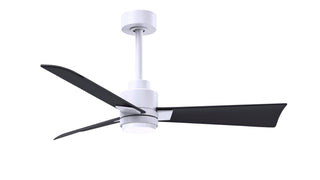 Matthews Fan Company - AKLK-MWH-BK-42 - 42" Ceiling Fan - Alessandra - LK - Matte White