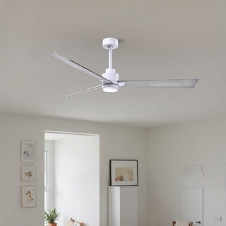 Alessandra - LK 56" Ceiling Fan in Matte White