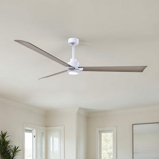 Alessandra - LK 72" Ceiling Fan in Matte White