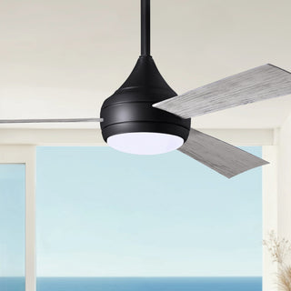Donaire 52" Ceiling Fan in Matte Black