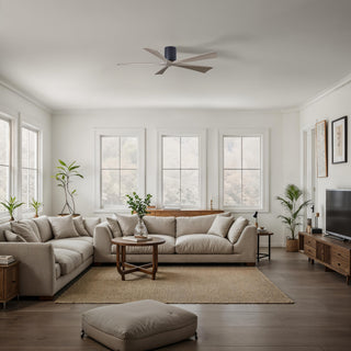 Irene-5H 60" Ceiling Fan in Matte Black