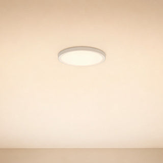 LED Flush Mount in White