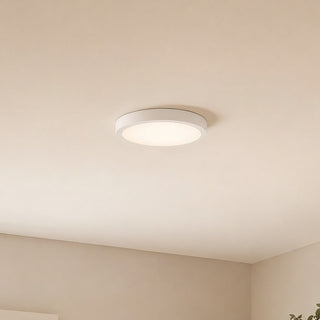 LED Flush Mount in White