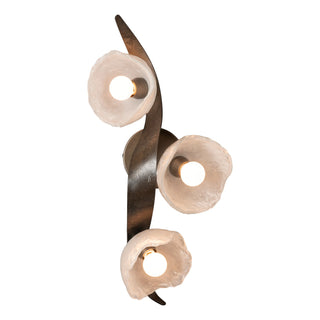 Hubbardton Forge - 201060-SKT-07-FD0791 - Mika 3-Light Large Sconce/Semi-Flush - Mika - Dark Smoke