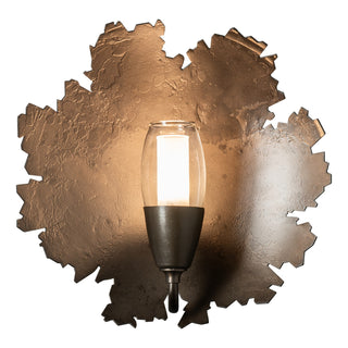 Hubbardton Forge - 201061-SKT-07-YE0352 - Pangea 1-Light Sconce - Pangea - Dark Smoke