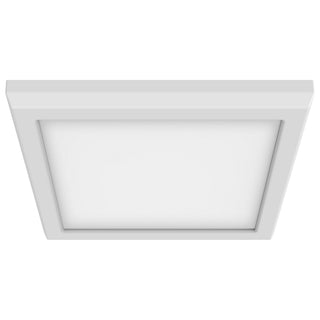 Nuvo Lighting - 62-1734 - LED Fixture - White