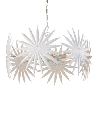 Bismarkia Six Light Chandelier in Gesso White