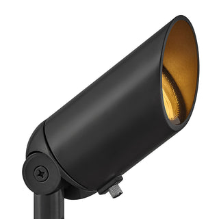 Hardy Island Accent Spot Light 12V LED Spot Light in Brass Satin Black