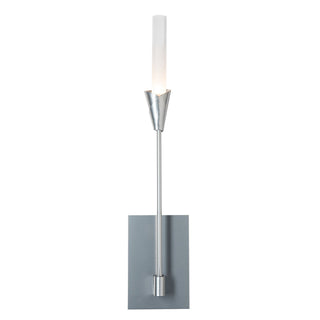 Hubbardton Forge - 201700-SKT-85-WC0821 - Lilium Sconce - Lilium - Sterling