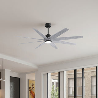 Ariella - LK 64" Ceiling Fan in Matte Black