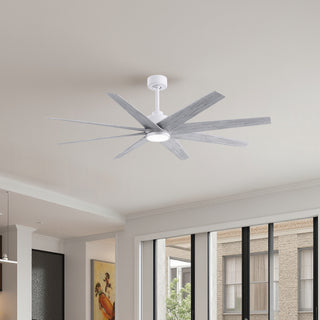 Ariella - LK 64" Ceiling Fan in Matte White