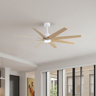 Ariella - LK 64" Ceiling Fan in Matte White