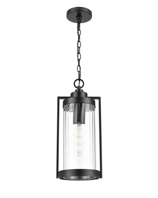 Millennium - 192401-PBK - One Light Outdoor Hanging Lantern - Braselton - Powder Coated Black