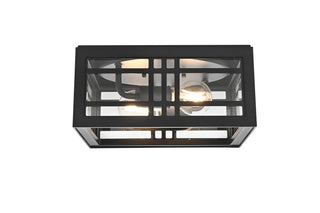 Elegant Lighting - OD613F5BK - Two Light Outdoor Flush Mount - Harley - Black and Clear
