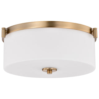 Nuvo Lighting - 60-8207 - Three Light Flush Mount - Liam - Burnished Brass