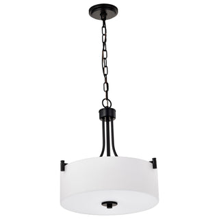 Nuvo Lighting - 60-8214 - Three Light Pendant - Liam - Matte Black