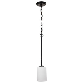 Nuvo Lighting - 60-8215 - One Light Mini Pendant - Liam - Matte Black