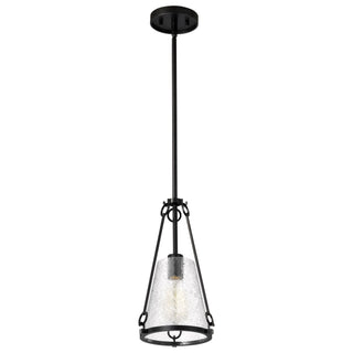 Nuvo Lighting - 60-8255 - One Light Pendant - Valentine - Black