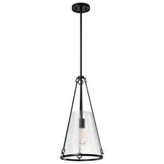 Nuvo Lighting - 60-8256 - One Light Pendant - Valentine - Black