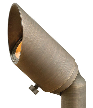 Hardy Island Accent Spot Light 12V MR11 in Matte Bronze
