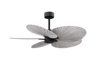 Matthews Fan Company - AKTP-BK-BW - 48" Ceiling Fan - Alessandra Tropical - Matte Black