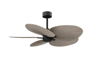 Matthews Fan Company - AKTP-BK-GA - 48" Ceiling Fan - Alessandra Tropical - Matte Black