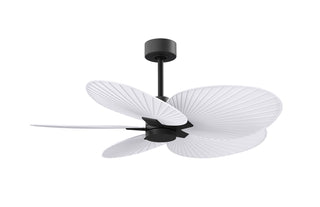 Matthews Fan Company - AKTP-BK-MWH - 48" Ceiling Fan - Alessandra Tropical - Matte Black