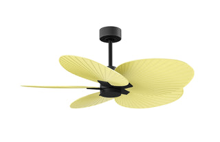 Matthews Fan Company - AKTP-BK-YE - 48" Ceiling Fan - Alessandra Tropical - Matte Black