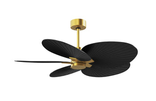 Matthews Fan Company - AKTP-BRBR-BK - 48" Ceiling Fan - Alessandra Tropical - Brushed Brass