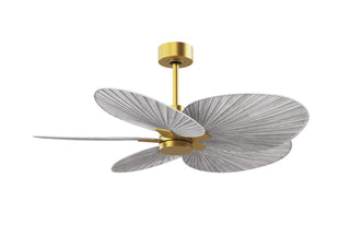 Matthews Fan Company - AKTP-BRBR-BW - 48" Ceiling Fan - Alessandra Tropical - Brushed Brass