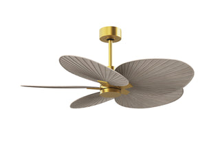 Matthews Fan Company - AKTP-BRBR-GA - 48" Ceiling Fan - Alessandra Tropical - Brushed Brass