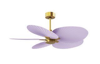 Matthews Fan Company - AKTP-BRBR-LI - 48" Ceiling Fan - Alessandra Tropical - Brushed Brass