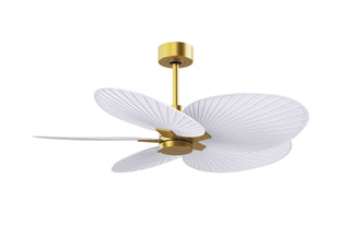 Matthews Fan Company - AKTP-BRBR-MWH - 48" Ceiling Fan - Alessandra Tropical - Brushed Brass