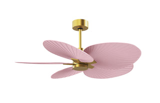 Matthews Fan Company - AKTP-BRBR-PI - 48" Ceiling Fan - Alessandra Tropical - Brushed Brass