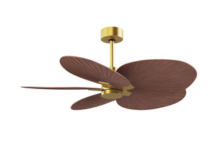 Matthews Fan Company - AKTP-BRBR-WN - 48" Ceiling Fan - Alessandra Tropical - Brushed Brass