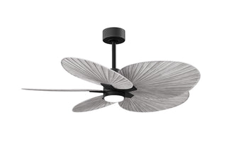 Matthews Fan Company - AKTPLK-BK-BW - 48" Ceiling Fan - Alessandra Tropical - LK - Matte Black