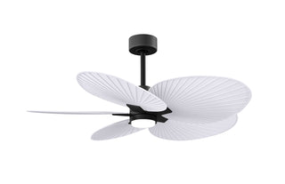 Matthews Fan Company - AKTPLK-BK-MWH - 48" Ceiling Fan - Alessandra Tropical - LK - Matte Black