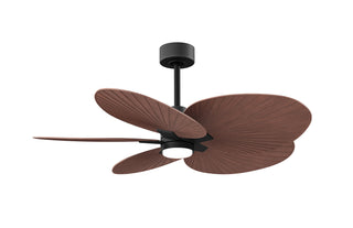 Matthews Fan Company - AKTPLK-BK-WN - 48" Ceiling Fan - Alessandra Tropical - LK - Matte Black