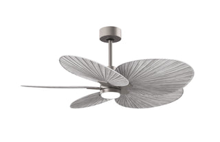 Matthews Fan Company - AKTPLK-BN-BW - 48" Ceiling Fan - Alessandra Tropical - LK - Brushed Nickel