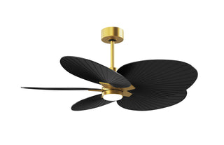 Matthews Fan Company - AKTPLK-BRBR-BK - 48" Ceiling Fan - Alessandra Tropical - LK - Brushed Brass