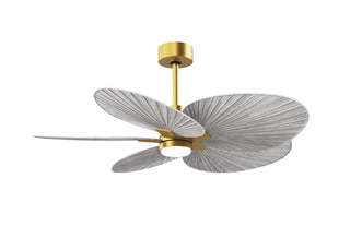 Matthews Fan Company - AKTPLK-BRBR-BW - 48" Ceiling Fan - Alessandra Tropical - LK - Brushed Brass