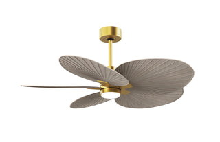 Matthews Fan Company - AKTPLK-BRBR-GA - 48" Ceiling Fan - Alessandra Tropical - LK - Brushed Brass