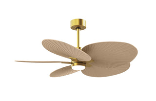 Matthews Fan Company - AKTPLK-BRBR-LM - 48" Ceiling Fan - Alessandra Tropical - LK - Brushed Brass