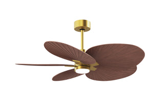 Matthews Fan Company - AKTPLK-BRBR-WN - 48" Ceiling Fan - Alessandra Tropical - LK - Brushed Brass