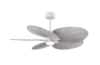 Matthews Fan Company - AKTPLK-MWH-BW - 48" Ceiling Fan - Alessandra Tropical - LK - Matte White
